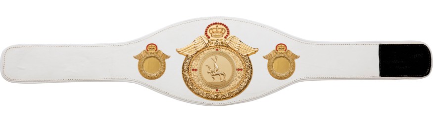 WRESTLING CHAMPIONSHIP BELT-PROWING/G/WRESTG-6+ COLOURS